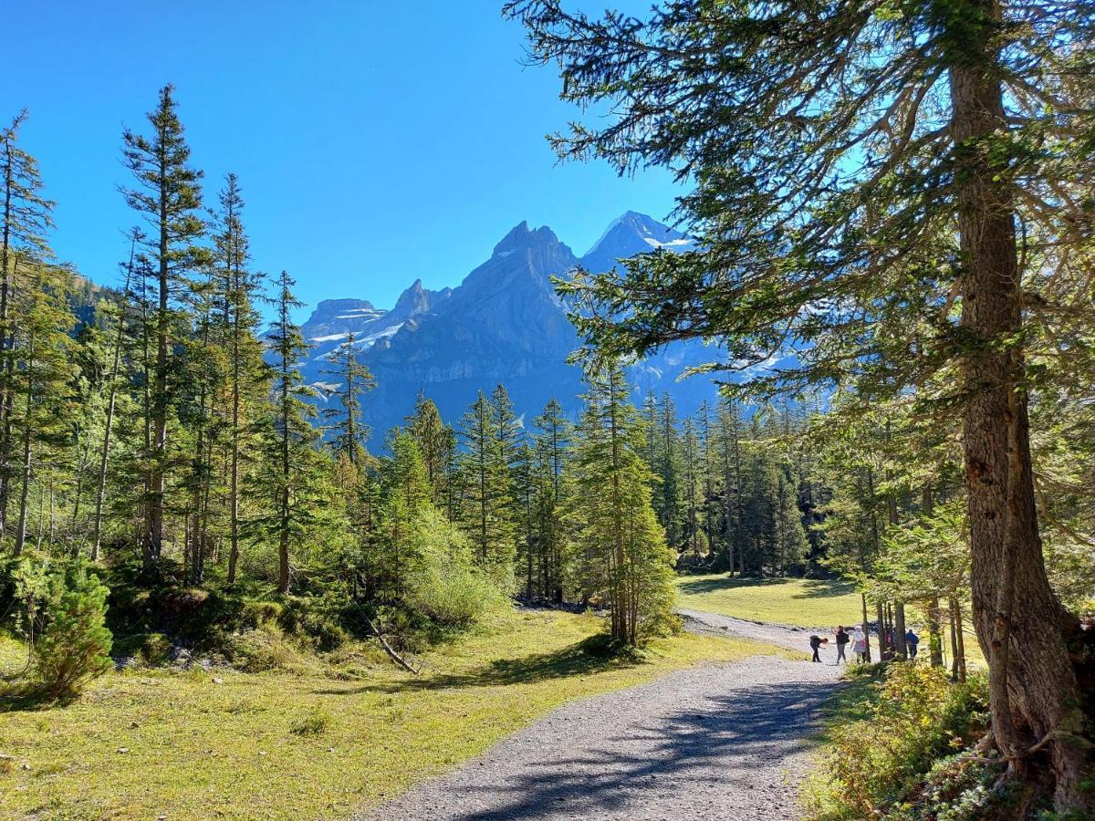 Arvenwald Apartamento Kandersteg